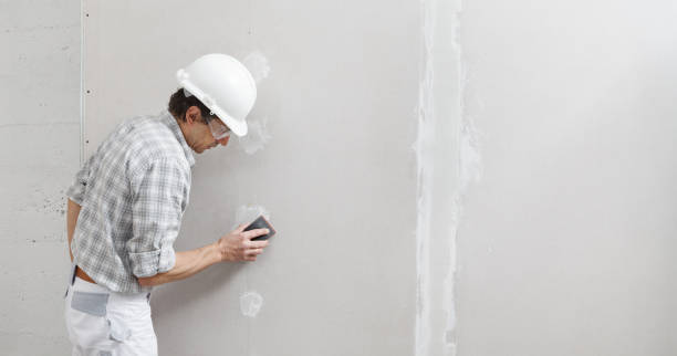 Best Commercial Painting  in Swanton, OH