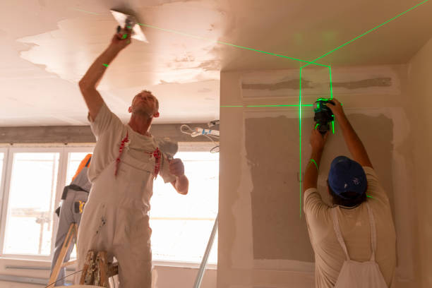 Best Ceiling Drywall Installation  in Swanton, OH