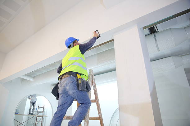 Best Ceiling Drywall Installation  in Swanton, OH